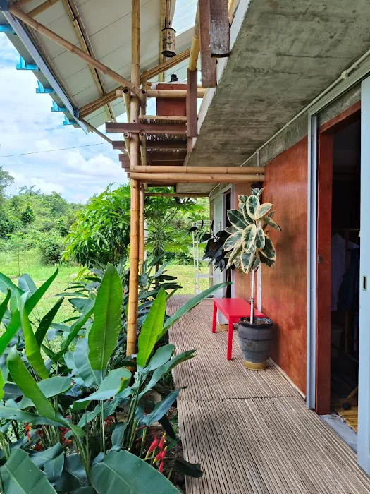 Sankofa Landscape, Merapoh Picture 10