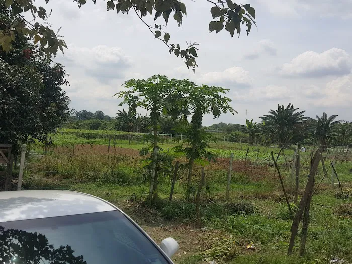SM Villa Homestay Picture 3