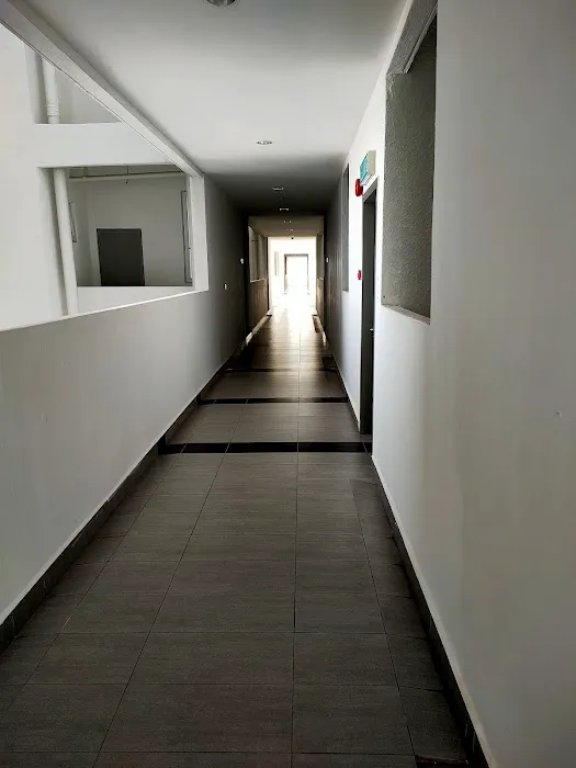 Palmyra Residence Picture 5