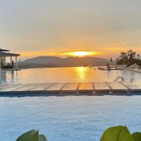 Palmyra Residence ico