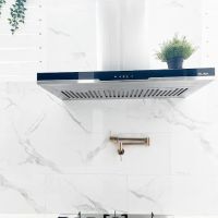Alya's home ico
