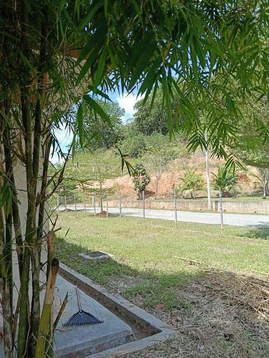 Adeeb Homestay Pokok Buluh Picture 4
