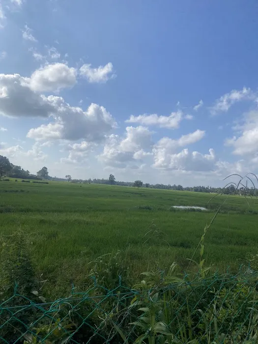 Al Faruqi Homestay Picture 4