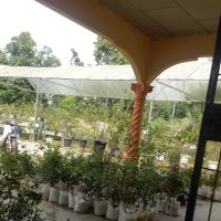 Hslz rose n garden ico