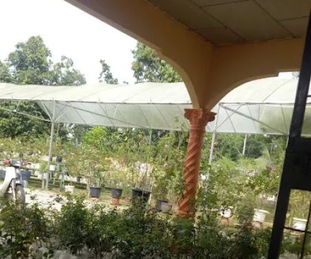 Hslz rose n garden