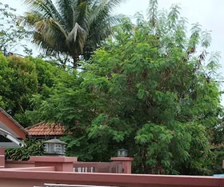 D'Ehsan Homestay Bangi