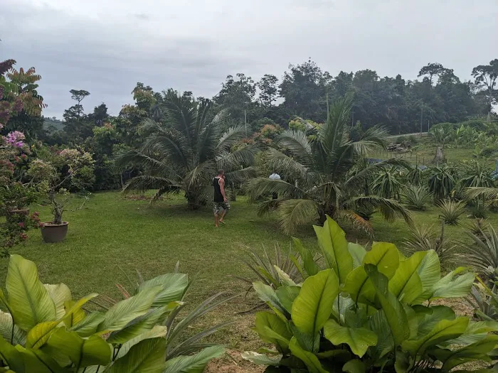 Dhia Irdina Homestay Picture 4