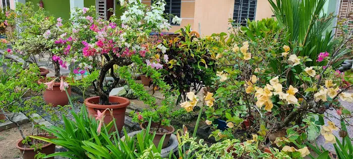 Dhia Irdina Homestay Picture 6