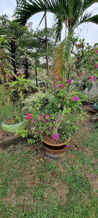 Dhia Irdina Homestay Picture 10