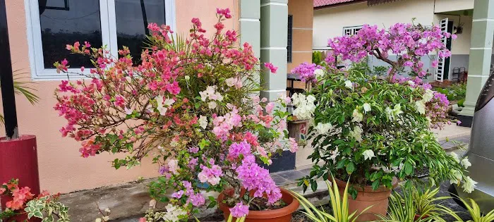 Dhia Irdina Homestay Picture 8