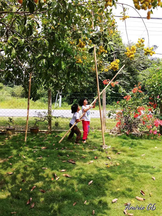 Homestay Mudin Hasan Picture 9