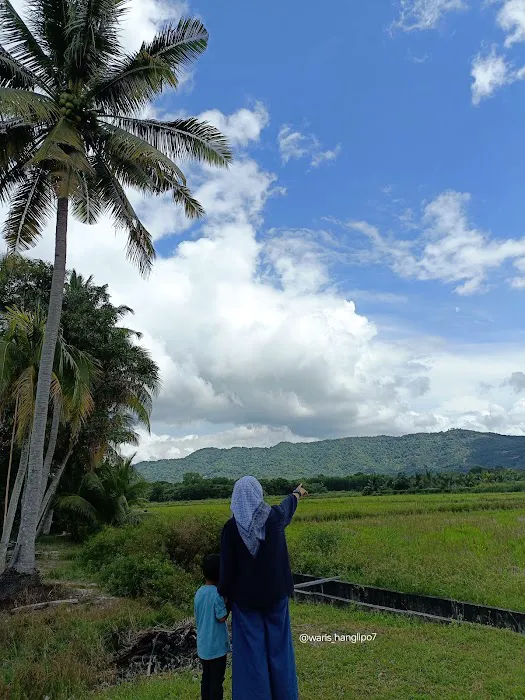 Rumah Bendang Tok Pah Picture 6