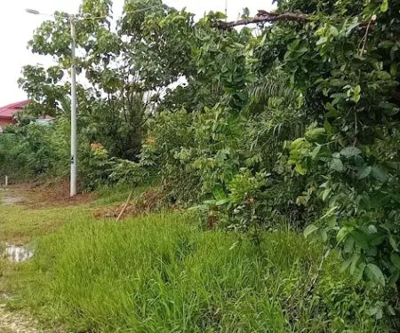 RS Hill Homestay