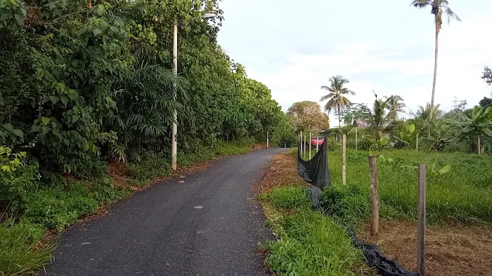 RS Hill Homestay Picture 4