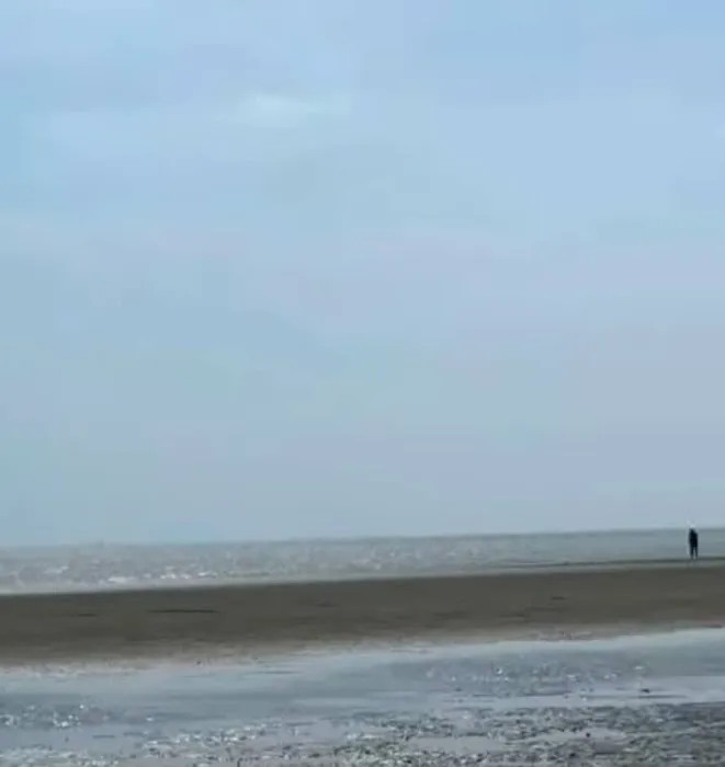 Moribreeze by the beach Picture 9