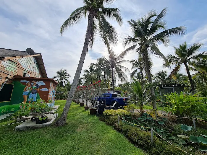 Morib Coconut Grove Banting Picture 2