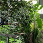 Blok 5 - Flat Taman Bukit Angkasa