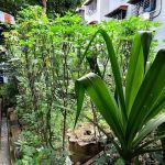 Blok 7 - Flat Taman Bukit Angkasa