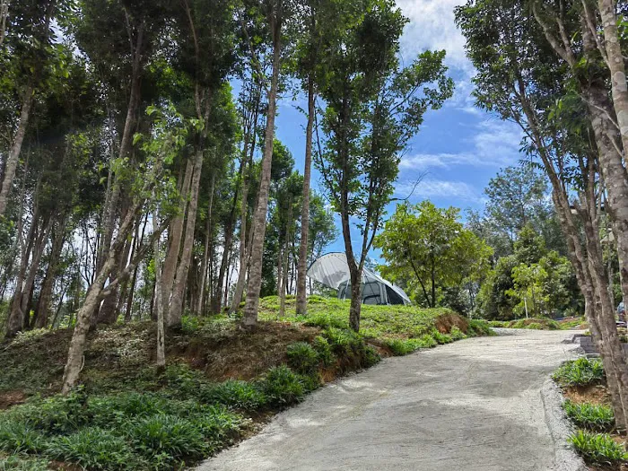 Gaharu Campsite and Resort Picture 5