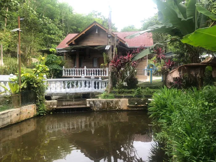Gaharu Campsite and Resort Picture 9