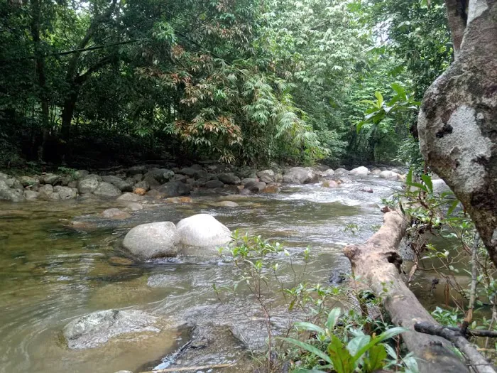 Sg Dara Permaculture Picture 1