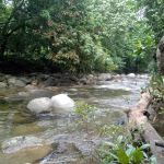 Sg Dara Permaculture
