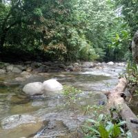 Sg Dara Permaculture ico