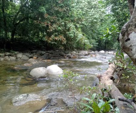 Sg Dara Permaculture