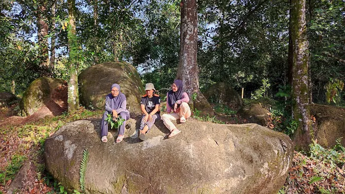 Sg Dara Permaculture Picture 3