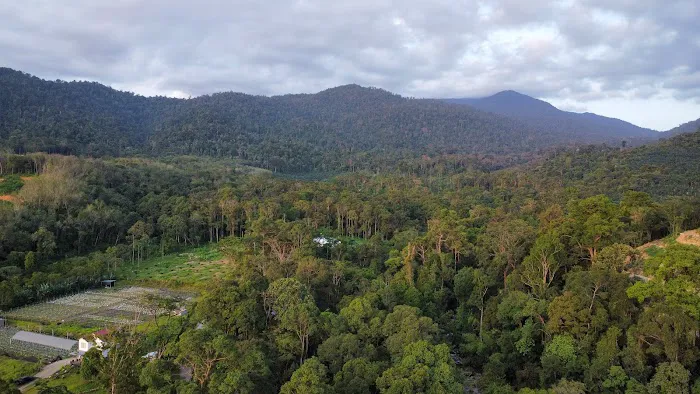 Sg Dara Permaculture Picture 5