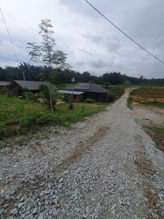 Rumah Kebun Cucu Atok Picture 4
