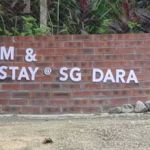 KELULUT FARM & HOMESTAY @ SG DARA (Stingless Bee Honey)