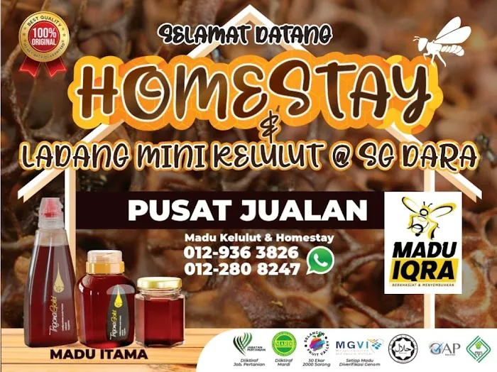 KELULUT FARM & HOMESTAY @ SG DARA (Stingless Bee Honey) Picture 4