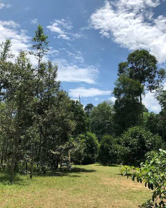 Tok Bak Campsite Picture 2