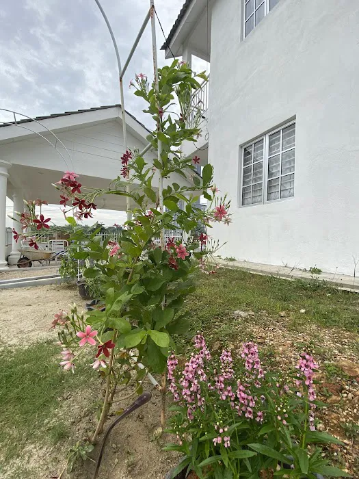 Lot 35671 Kg Limau Manis Garden Villa Picture 2
