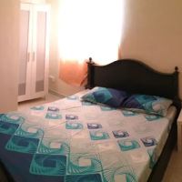 Erika Homestay Puncak Alam ico