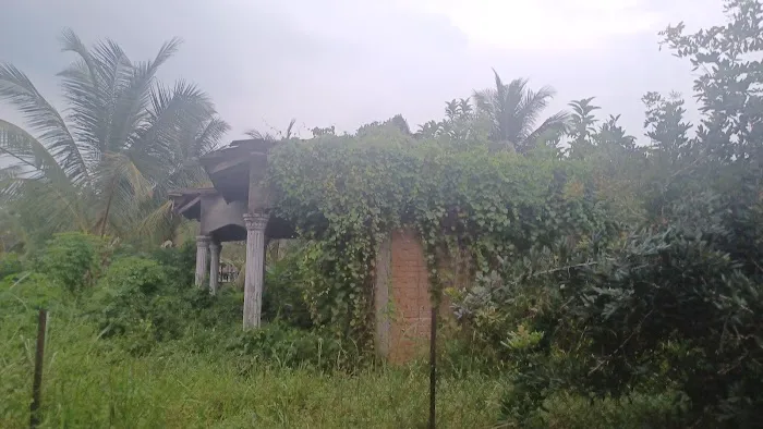 Damai Homestay Kuala Kubu Bharu Picture 4