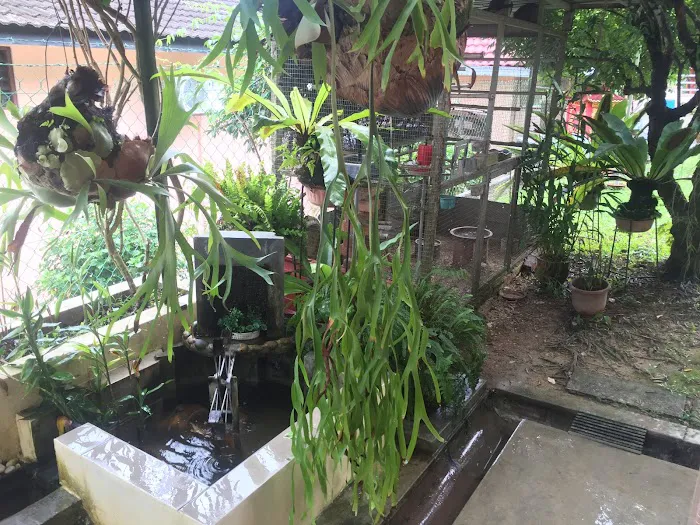 Kuala Kubu Bharu Bungalow Homestay Picture 5