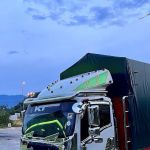 KT Transport Mover servis
