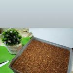 Kueh By ShafaSedi