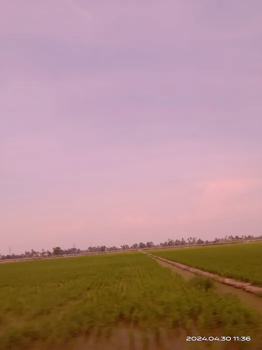 Bost Homestay Picture 4