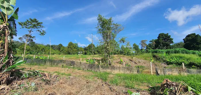 Kampung Air Taling Picture 2