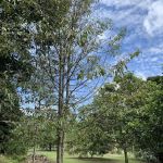 Kampung Air Taling
