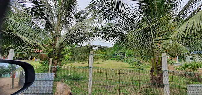 Kampung Air Taling Picture 5