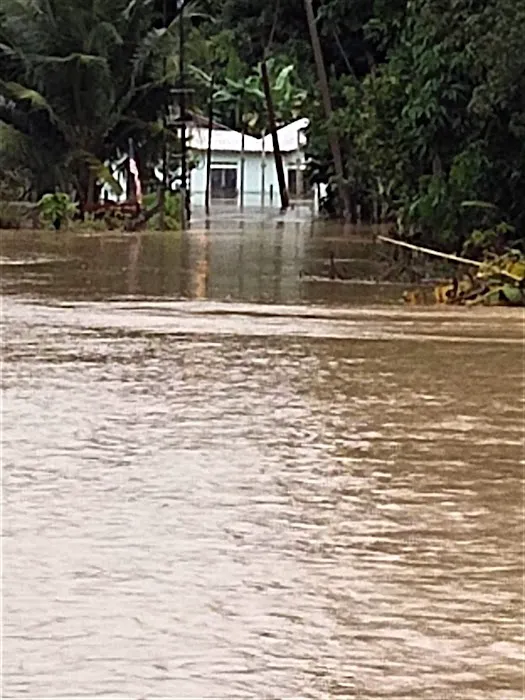 Kampung Air Taling Picture 6