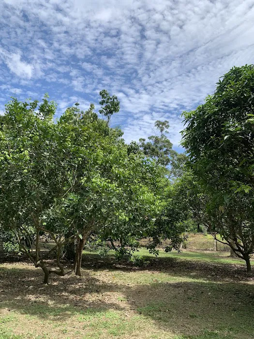 Kampung Air Taling Picture 4
