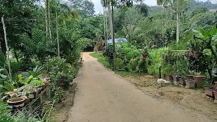 Kampung Orang Asli Langkap Dangi Picture 1