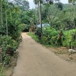 Kampung Orang Asli Langkap Dangi