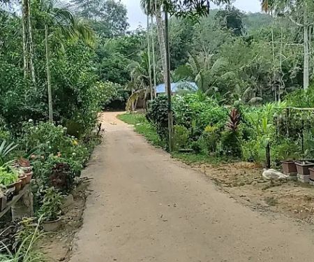 Kampung Orang Asli Langkap Dangi