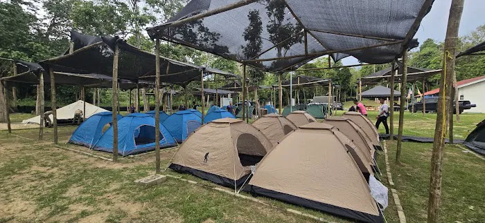 D TO TREE @ D 23 CAMPSITE Picture 1